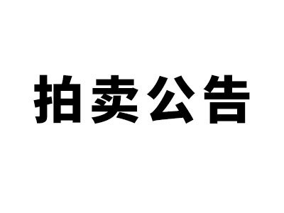 希爾得拍賣|抵稅財(cái)產(chǎn)第一次拍賣公告